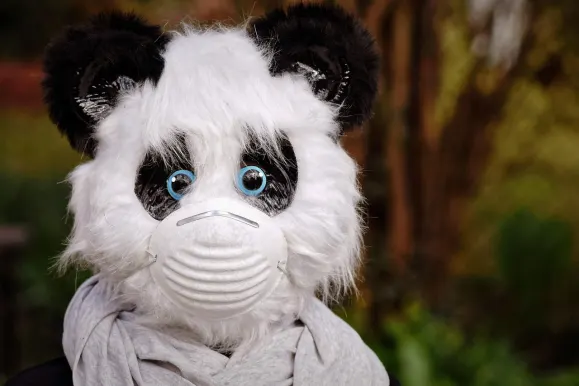 SilverPlay Casino Podrška